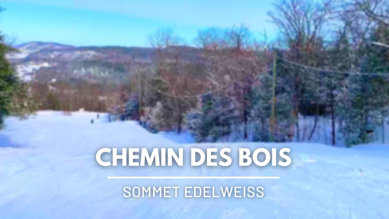 Chemin des Bois - Sommet Edelweiss