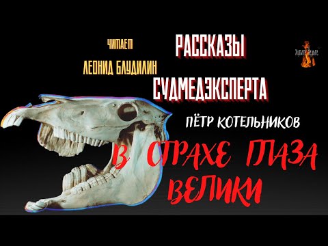 Рассказы Судмедэксперта: В СТРАХЕ ГЛАЗА ВЕЛИКИ (автор: Пётр Котельников).