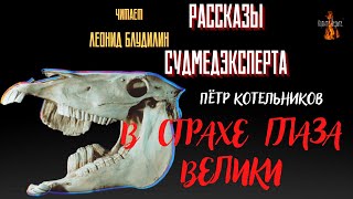 Рассказы Судмедэксперта: В Страхе Глаза Велики (Автор: Пётр Котельников).