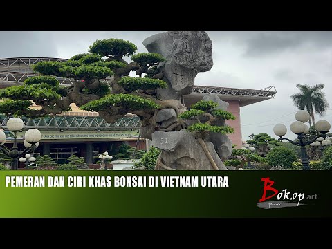 PEMERAN DAN CIRI KHAS BONSAI DI VIETNAM UTARA