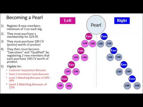 Jeunesse Income Chart