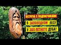 Болельщики Факела посадили КРАСНЫЕ дубы в Воронежской Нагорной Дубраве