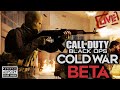 BLACK OPS COLD WAR BETA EARLY ACCESS 😈 Best Class Setups | PS4 PRO