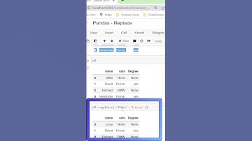 "Replace What? Find Out How Pandas Can Do It in Python!"