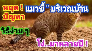 วิธีป้องกัน