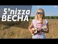 Как играть на укулеле 5'nizza - Весна