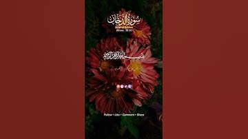 Surah  Ad-Dukhan( سورة الدخان)
