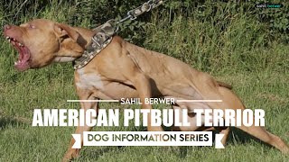 AMERICAN PITBULL TERRIER : DOG INFORMATION SERIES || Episode_03