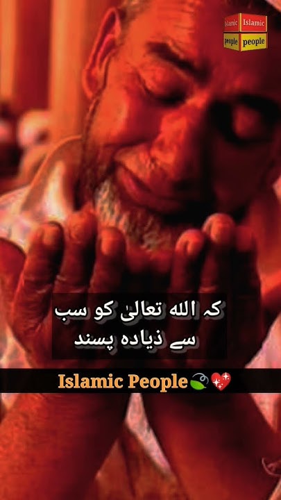 What Does Allah Love The Most what-does-allah-love-the-most