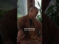 Learn to be FULLY PRESENT 🙌 #shihengyi #selfimprovement #shaolin #peace #bepresent #spirituality