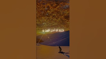محمد اللحيدان سورة المؤمنون #قرأن_كريم_راحة_نفسية #قرأن #محمد_اللحيدان