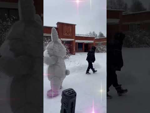 Зайчик Крош зажигает под Федерико Фелини #shorts #белыймишка #happybirthday #сюрприз #happynewyear
