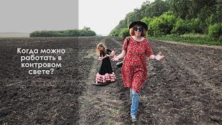 Когда Можно Работать В Контровом Свете? Короткий Ролик