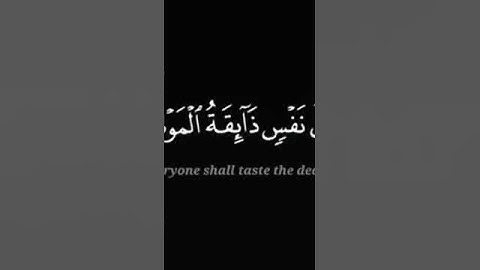 القرآن الكريم #اكسبلور #اكسبلورر #لايك