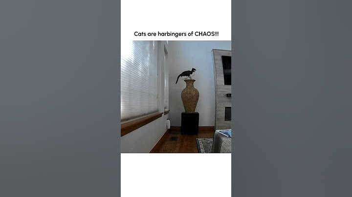 Funny Cat DESTROYS Pet Parent's Art!