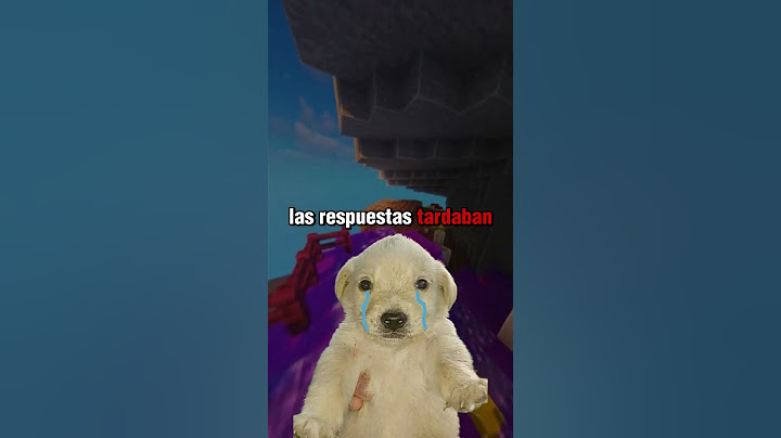 "Yo confiaba en tí" 🐶🌧️