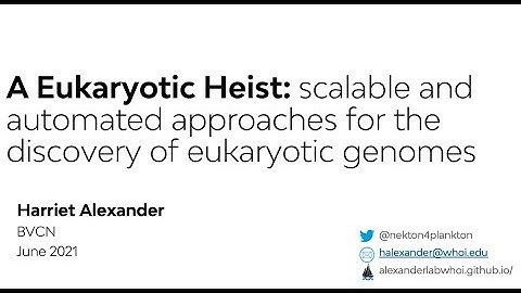 EukHeist: Scalable and automated discovery of eukaryotic genomes from a global dataset