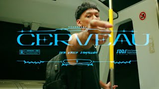 CERVEAU - REGULAR 🌬️ (Official Video) (Dir By: @zamalloadirector )