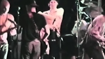 Gotcha! - Funky farm (1991)