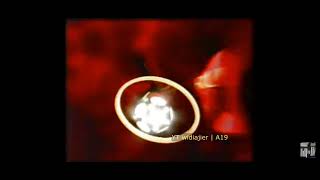 Iklan Djarum Super Soccer 2001 Sponsors Liga Inggris Oct 18 2023