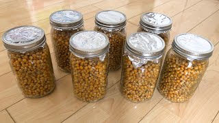 How To Make Popcorn Spawn Jars (No Pressure Cooker) - Growing Mushrooms