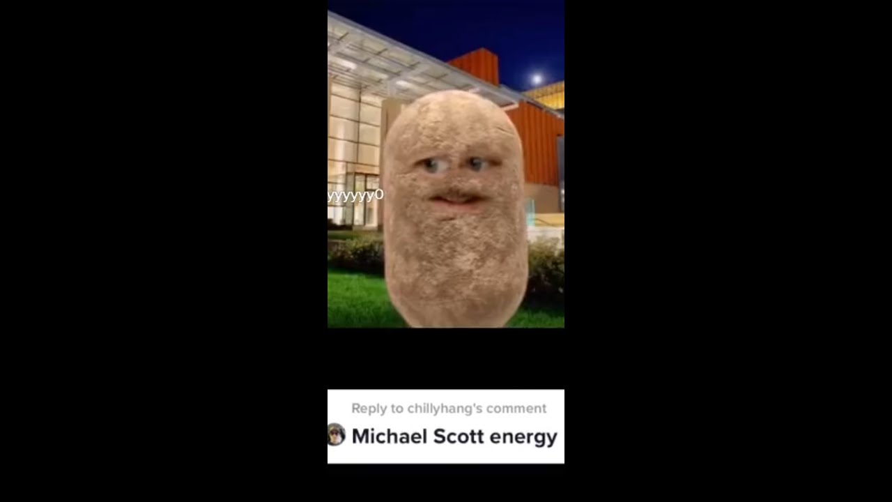 Professor Gets Stuck as a Potato 🥔 on ZOOM( Famous TikTok PeePs 👀