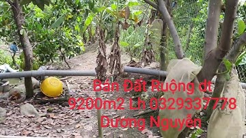 Nhà Đất Bán Đất Ruộng vườn dt 9200m2 Giá 350tr Công Cái Bè Tiền Giang