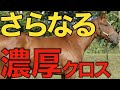【初めて見た】まだまだいた危険な配合馬たち！挑戦する価値ありかも。