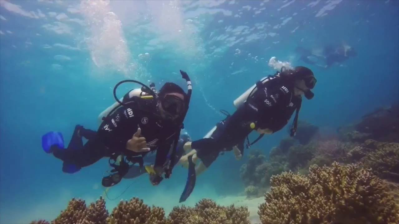 [Vlog] Mergulhando com uma raia