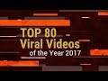 TOP 80 Viral Videos of the Year 2017 || ViralSnare