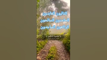 تلاوة خاشعة قرأن كريم راحة نفسية قرأن كريم تخشع له القلوب #قران_كريم #قرآن #elmulquranعلم