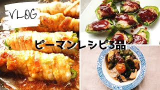 ピーマンの大量消費レシピ 3品／タモリさん考案煮びたしのアレンジレシピ／絶品！チーズ肉巻き｜vlog【ばあちゃんの料理教室】