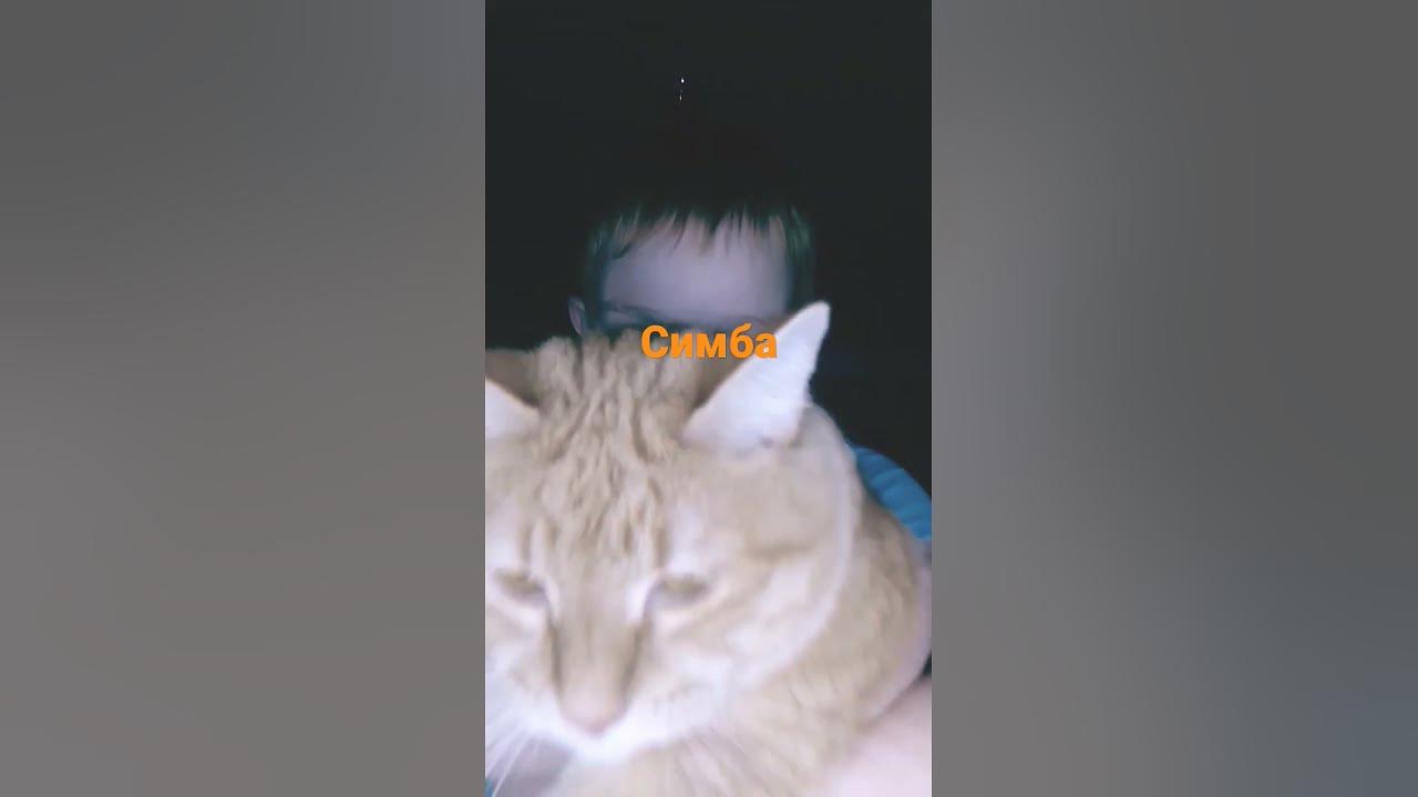симбочка - YouTube