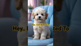 Hey Just Wanted To Say I Am Proud Of Your Soft Heartshorts viral animalvoiceover cute