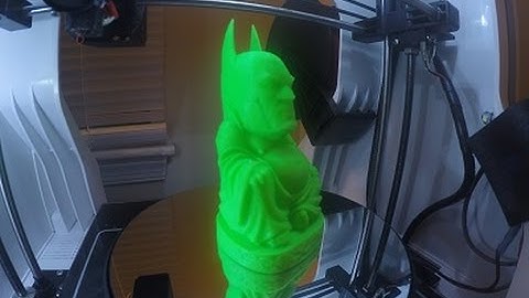 RoBo 3D R1 Timelapse - Batman Buddha
