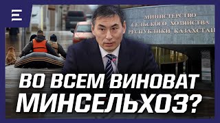 Кто в ответе за паводки? Почему МСХ РК не занимается мелиорацией?