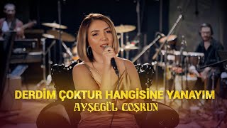 Ayşegül Coşkun - DERDİM ÇOKTUR HANGİSİNE YANAYIM (Akustik) Resimi