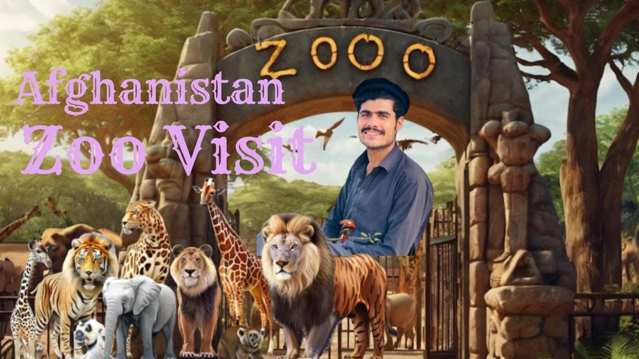 🦁 “Exploring Kabul Zoo – Amazing Animals & Unexpected Moments!”