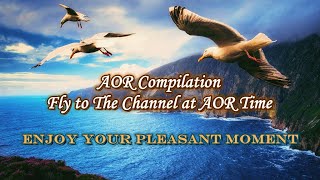 【AOR Compilation】🎵Episode 10: Fly to The Channel at AOR Time🎧