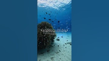 اكتب شيء تؤجر عليه ❤️ #اكسبلور #قرآن #تلاوة_خاشعة