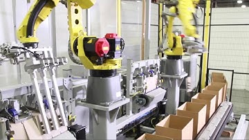 Robotic Partition Inserter (RPI) with High Speed FANUC Robots - Pearson Packaging Systems