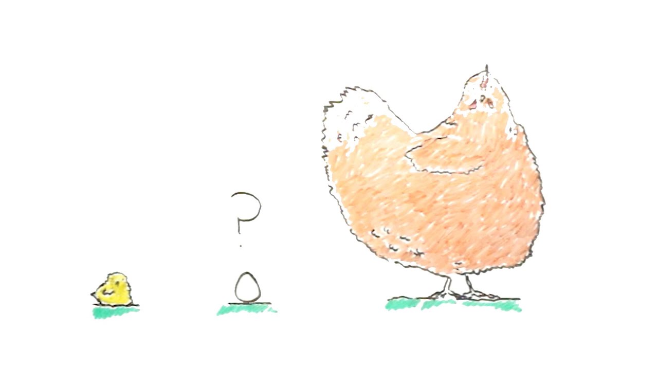 Which Came First The Chicken Or The Egg YouTube