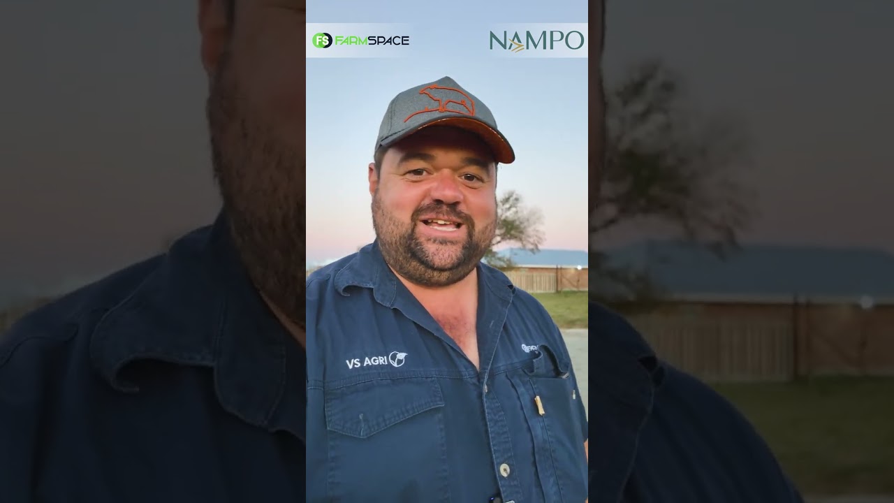 By NAMPO is daar altyd lekker "specials", maak seker jy weet by watter stalletjies om die te draai.