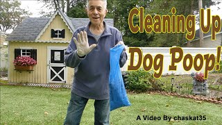 Cleaning Up Dog Poop!
