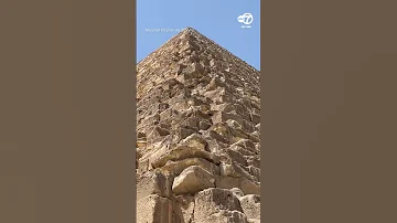 What Goes Up Dog Spotted Atop Great Pyramid Of Giza Makes Expert Descent 