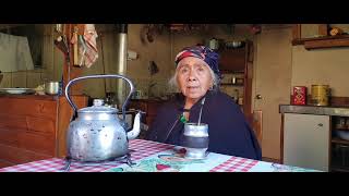 Documental MAPUCHE KUIFI KIMUN