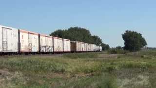 Birds sing as WBD Union Pacific RR #6532 mixed freight West of Lodgepole, NE 9/20/13 approaches