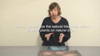 Trailer to Botanical printing videotutorial