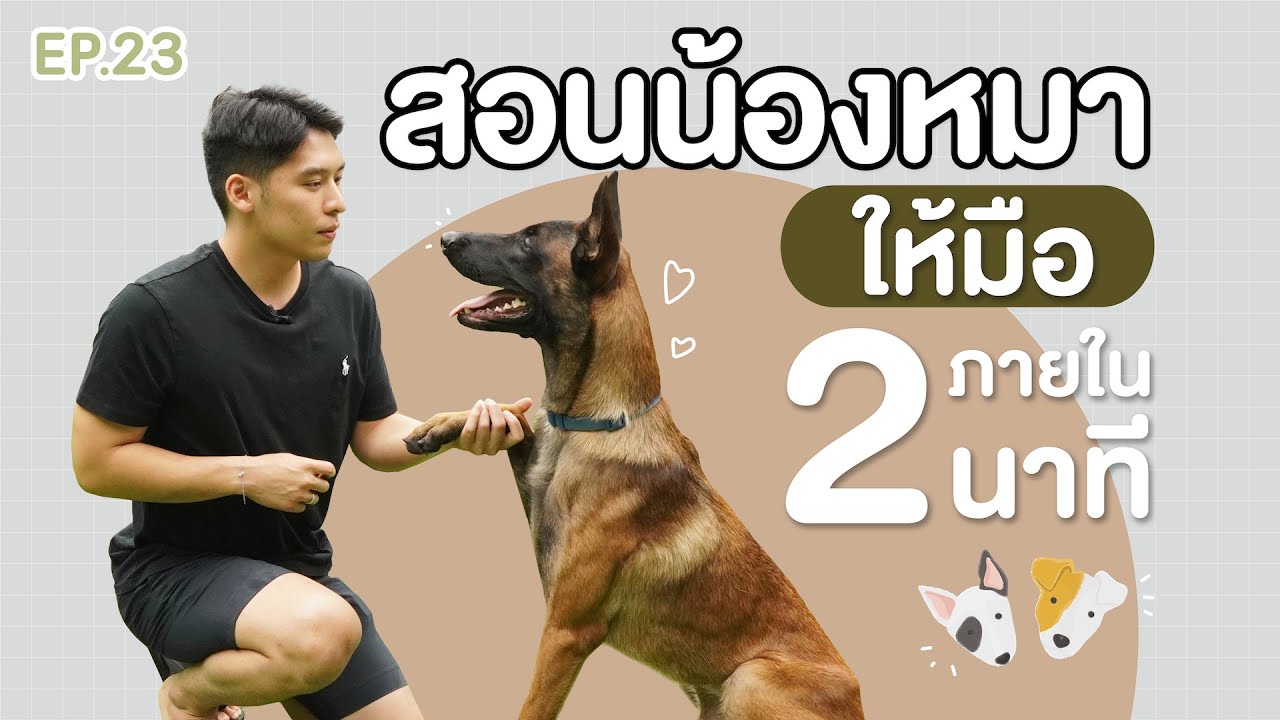 การเลี้ยงหมา  New  สอนน้องหมาให้มือภายใน 2นาที | EP.23 | บุ๊ค บอก ต่อ