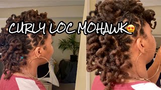 Curly Mohawk On Short/Medium Locs
